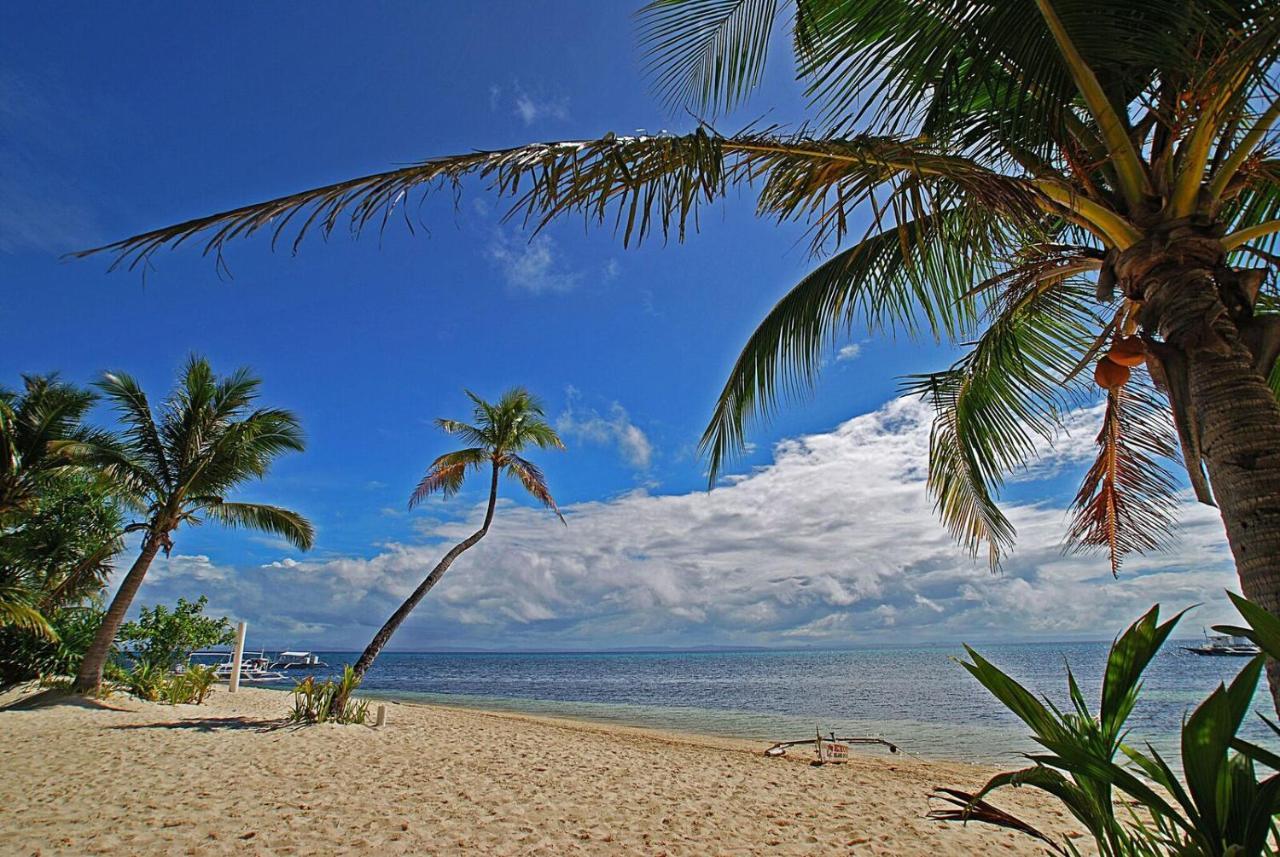 Malapascua Exotic Island Dive Resort Daanbantayan Ngoại thất bức ảnh